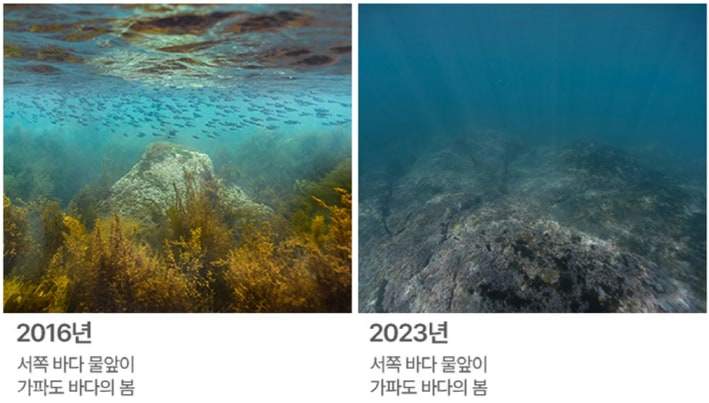 Billet Aqua Planet Jeju [Étrangers Seulement]
